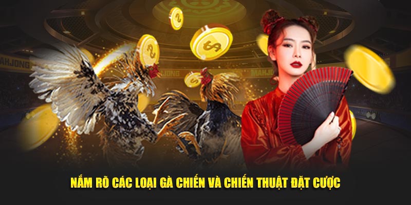 Nắm rõ các loại gà chiến và chiến thuật đặt cược