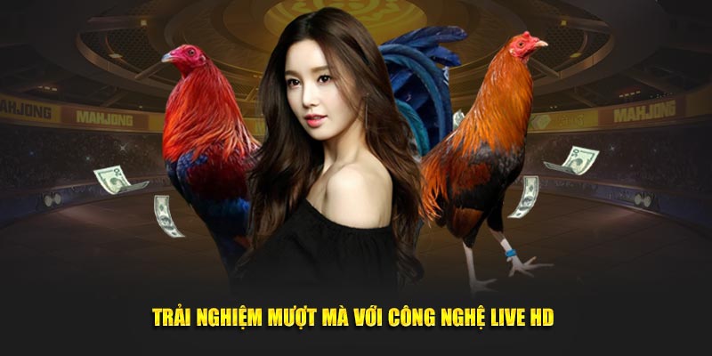 Trải nghiệm mượt mà với công nghệ live HD 